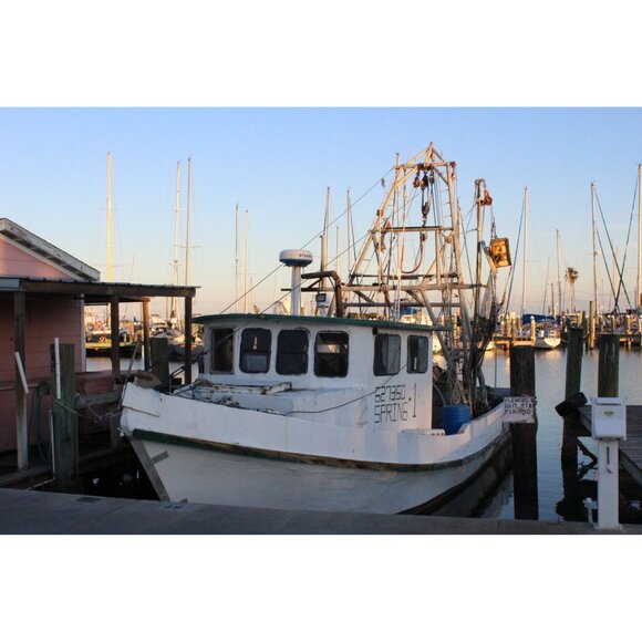 Canon EOS Rebel T5 DSLR Camera 18MP 18-55mm Lens Video 10943 Clicks 32GB SD MINT - Picture 6 of 16